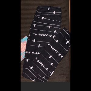 Birds on a wire lularoe leggings